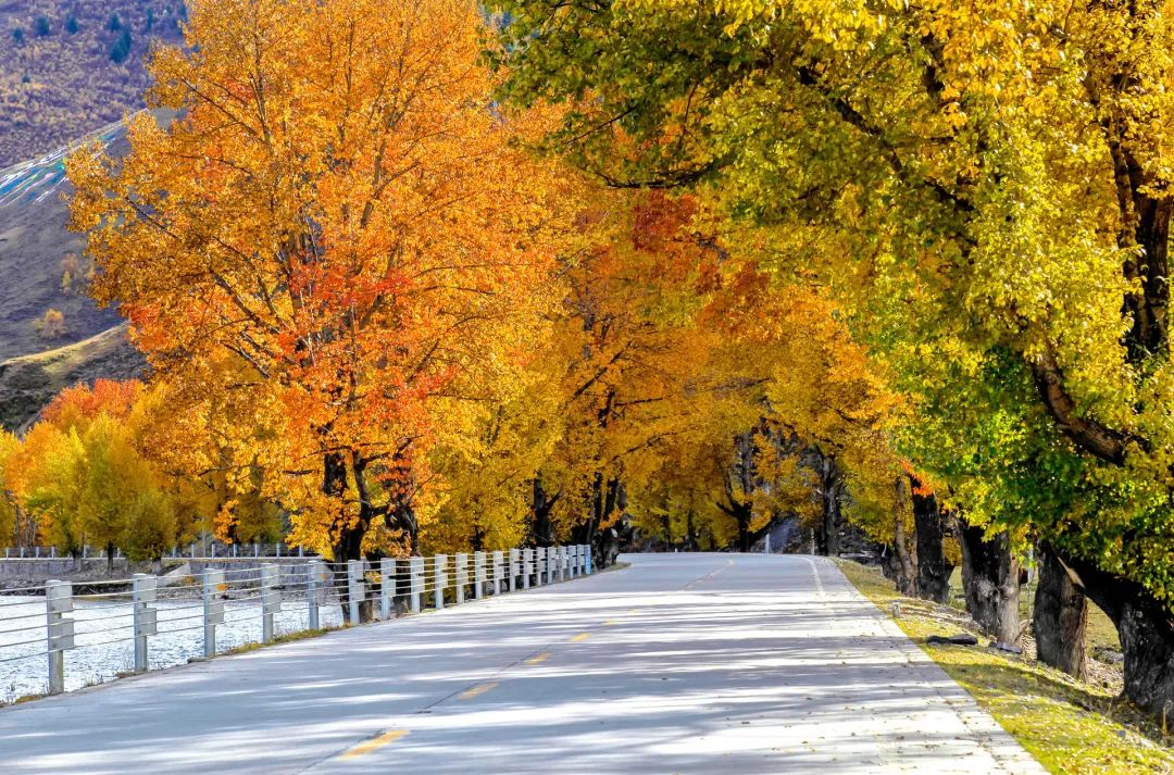 什么时候去稻城最好,什么时候去稻城