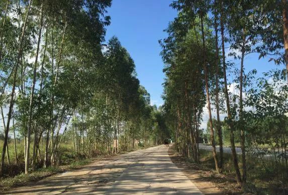 南宁附近的农家乐有哪些,南宁花婆农家乐休闲山庄