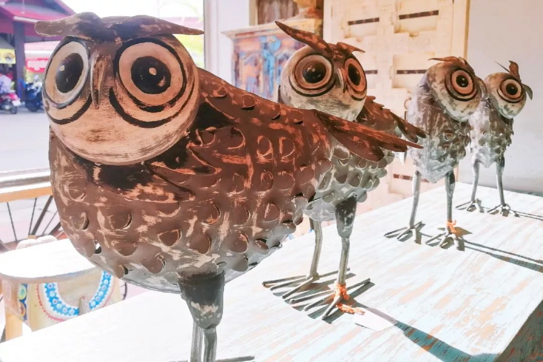 清迈的现状,清迈重逢