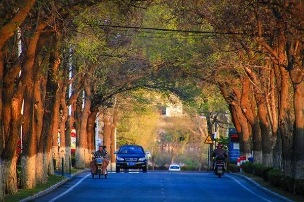 威海旅游省钱攻略,威海攻略低消费