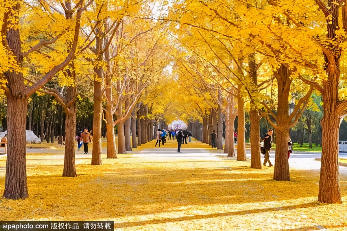 打卡北京十大古迹,打卡北京100个景点