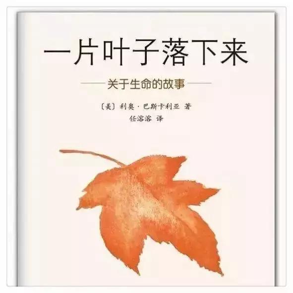 孩子对死亡的疑问怎么解决,如何回答孩子死亡的问题