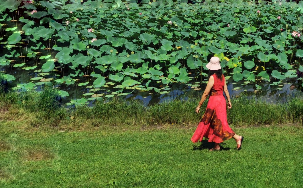 哈尔滨江北别墅,哈尔滨江北大学城