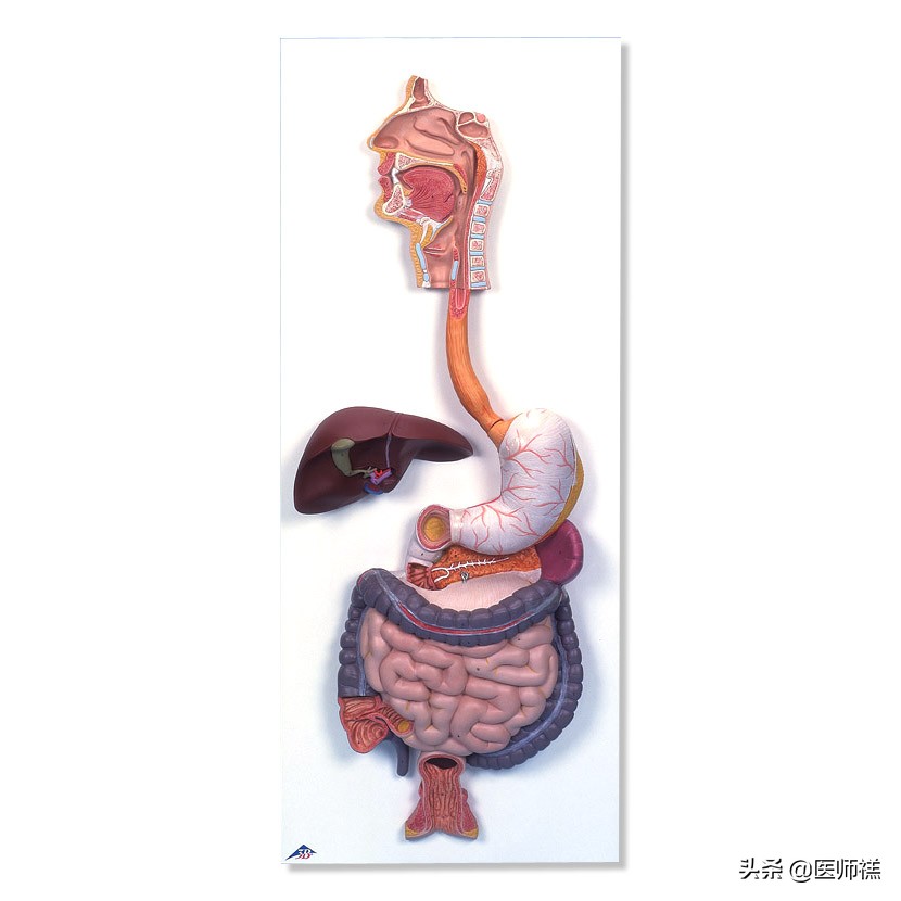 怀孕前三个月吃冷饮有影响么,怀孕前三个月不可以吃什么水果