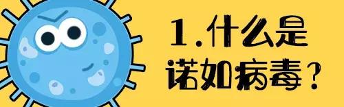 小孩突然呕吐如何确诊诺如病毒,孩子得诺如病毒一直头疼