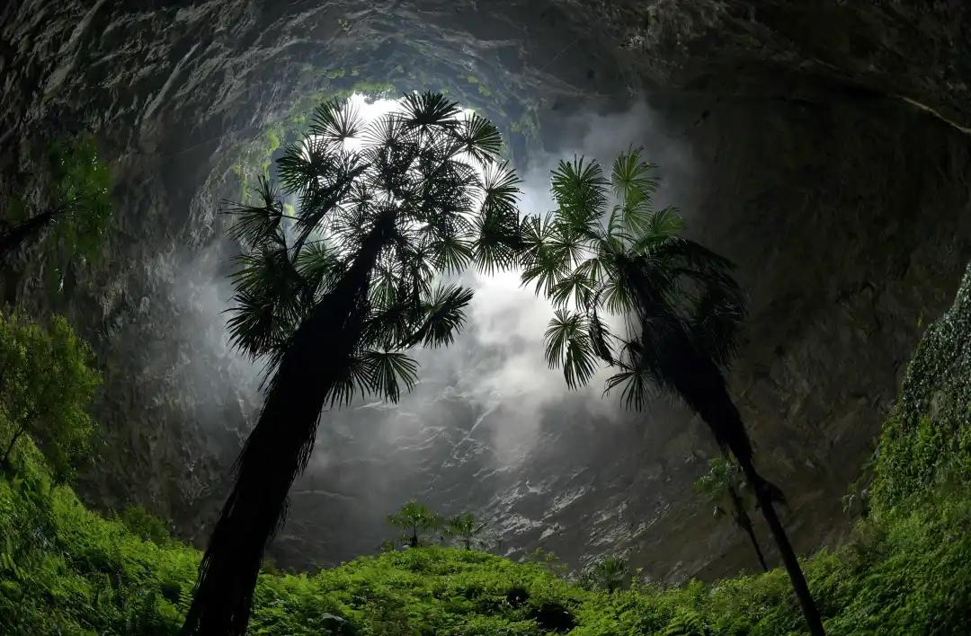 南北通透房子推窗见景,高层3楼住户真实感受南北通透