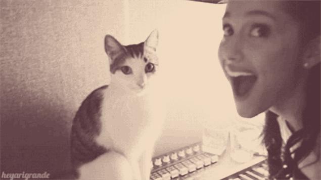 被猫咪调戏怎么办,猫咪被阿姨骚扰