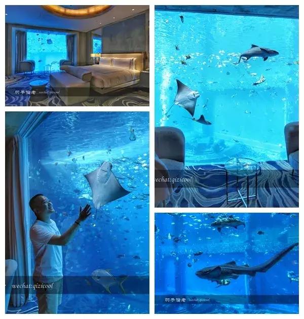 三亚亚特兰蒂斯水世界游玩路线,三亚亚特兰蒂斯水上乐园游玩项目