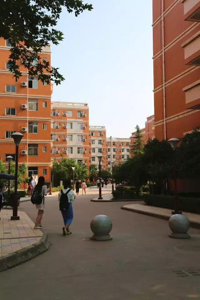 西法大青春力量,西法大