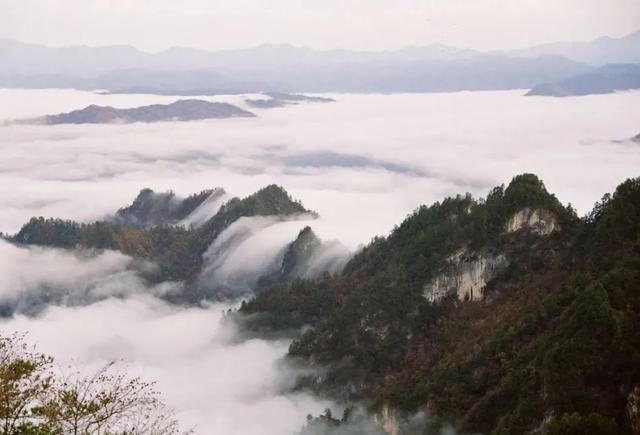 商洛市牛背梁景区介绍,商洛牛背梁旅游景点高清图片