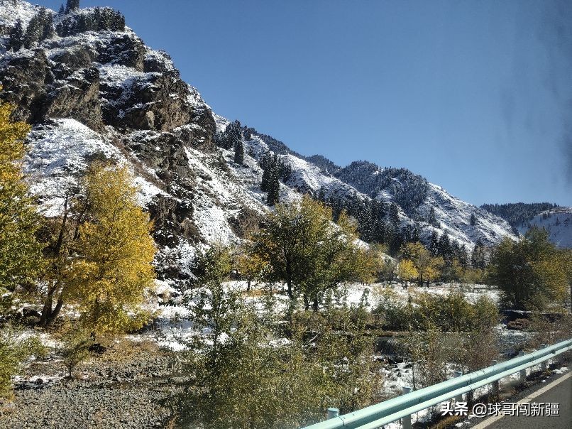 新疆棉花涨势,新疆棉花经济热点