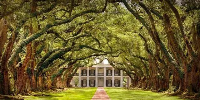 美国新奥尔良风土人情｜去过的人才知道那里压根没有新奥尔良烤翅