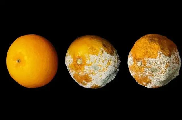 原位癌浸润癌微浸润癌区别,原位癌和微浸润癌的病理区别