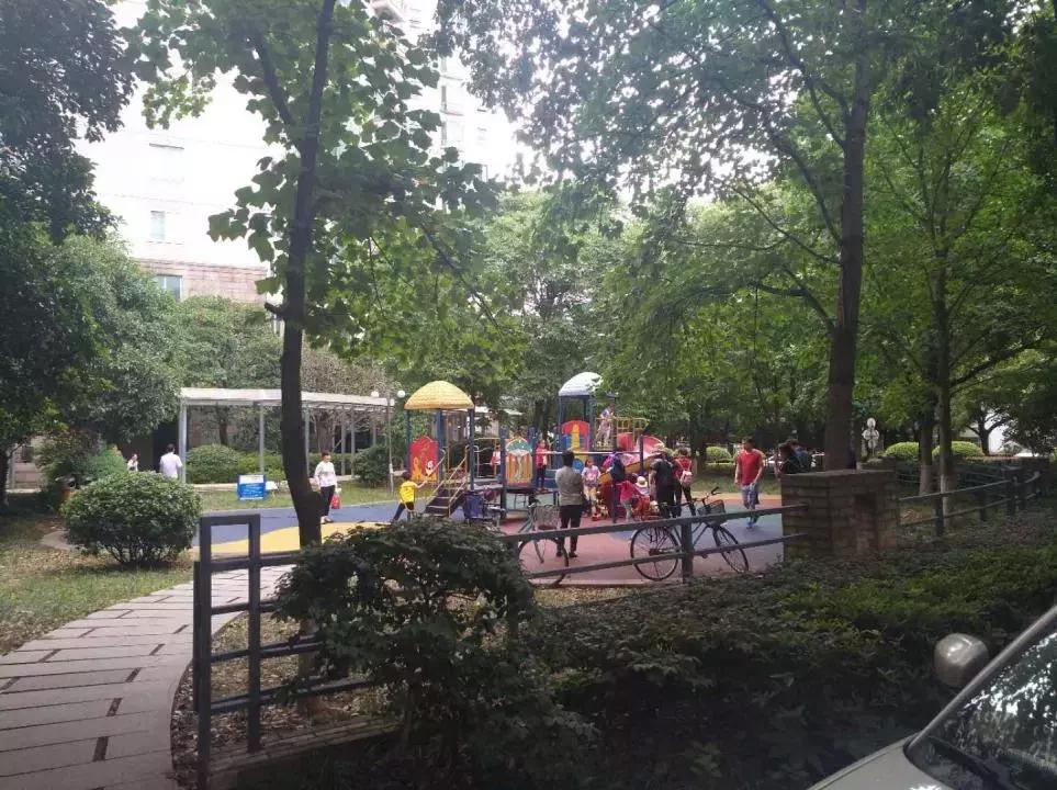 曾经的富人区如今没有人住,曾经的富人区洋房中的洋房