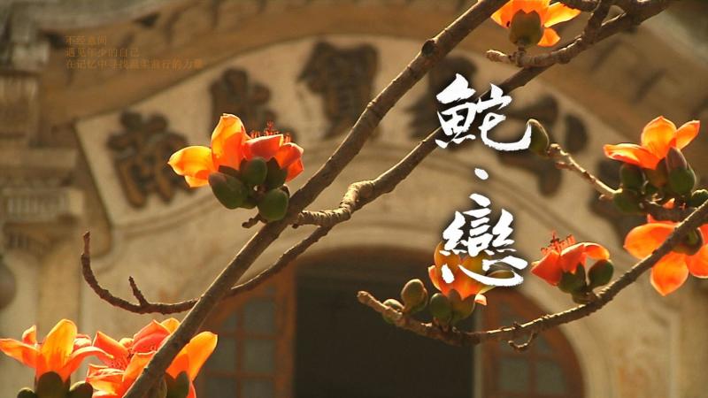 广东汕头市简介和地理位置,广东汕头市简介