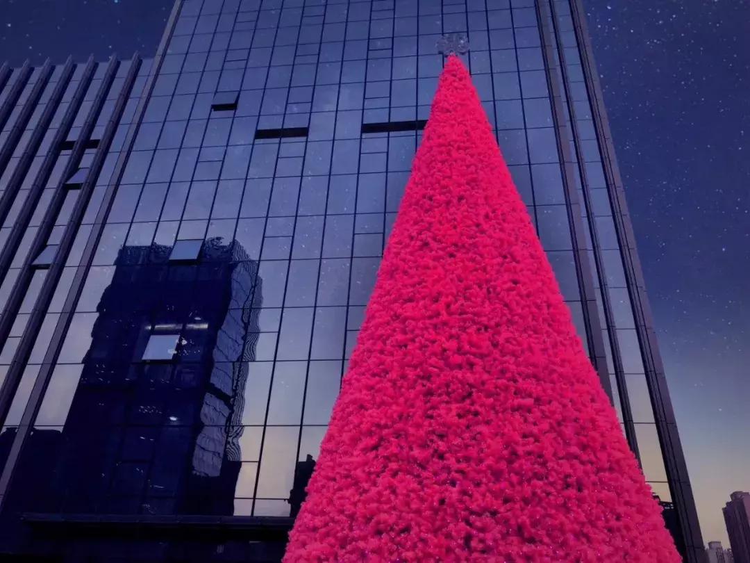 张韶涵张信哲最新综艺,张韶涵张信哲演唱会图文