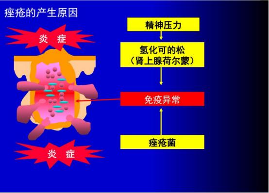 浠欎汉鎺岀棙鑲屼慨鎶よ啅,鐪嬪畬鐥樼棙浠ュ悗鎰熻鏇翠弗閲嶄簡