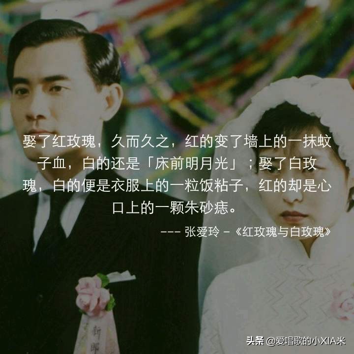 被偏爱的都有恃无恐语录,什么叫被偏爱的都有恃无恐