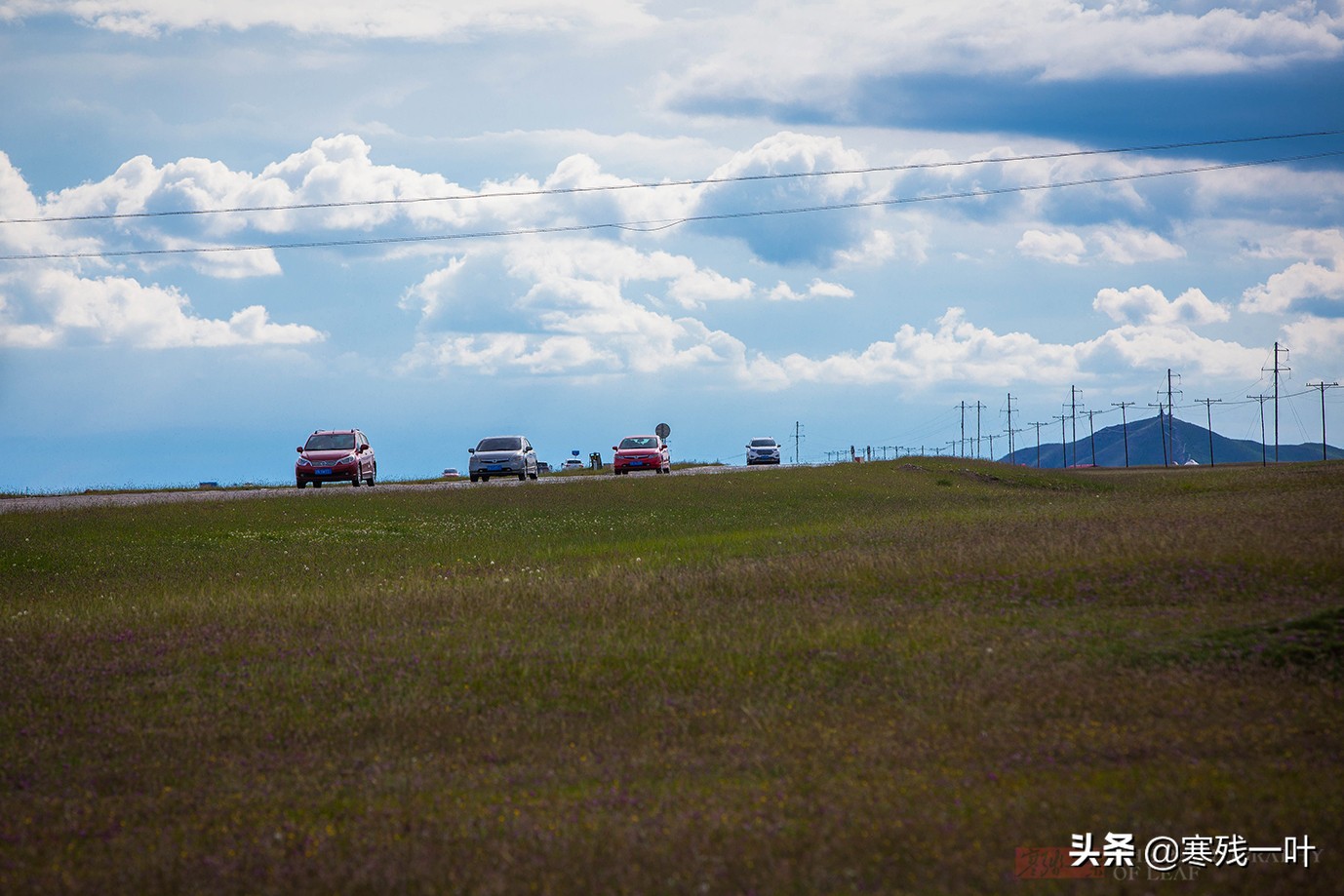 自驾*疆新**，路上撞到一只羊该怎么办？这位小哥的举动给我上了一课