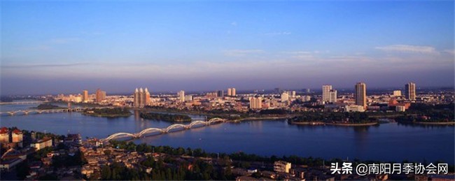 南阳月季欣赏的地方,南阳大月季