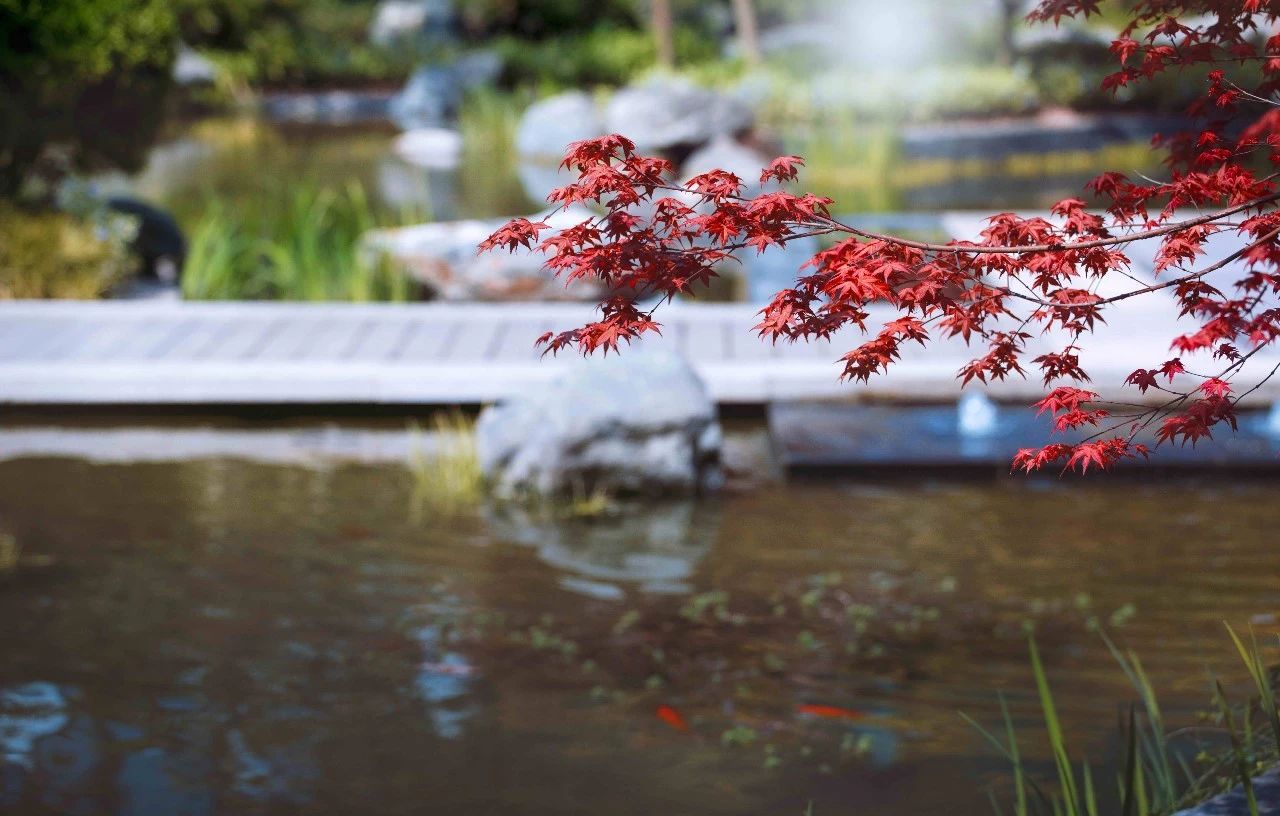 鎴愰兘澶╁簻鏂板尯涓痉楹撳簻,鎴愰兘澶╁簻鏂板尯涓痉楹撳簻鍏瘬