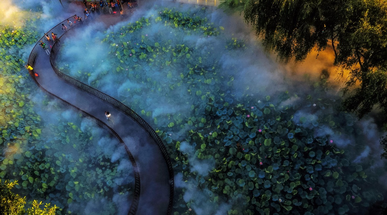 佛山是怎么成为武术之乡的?