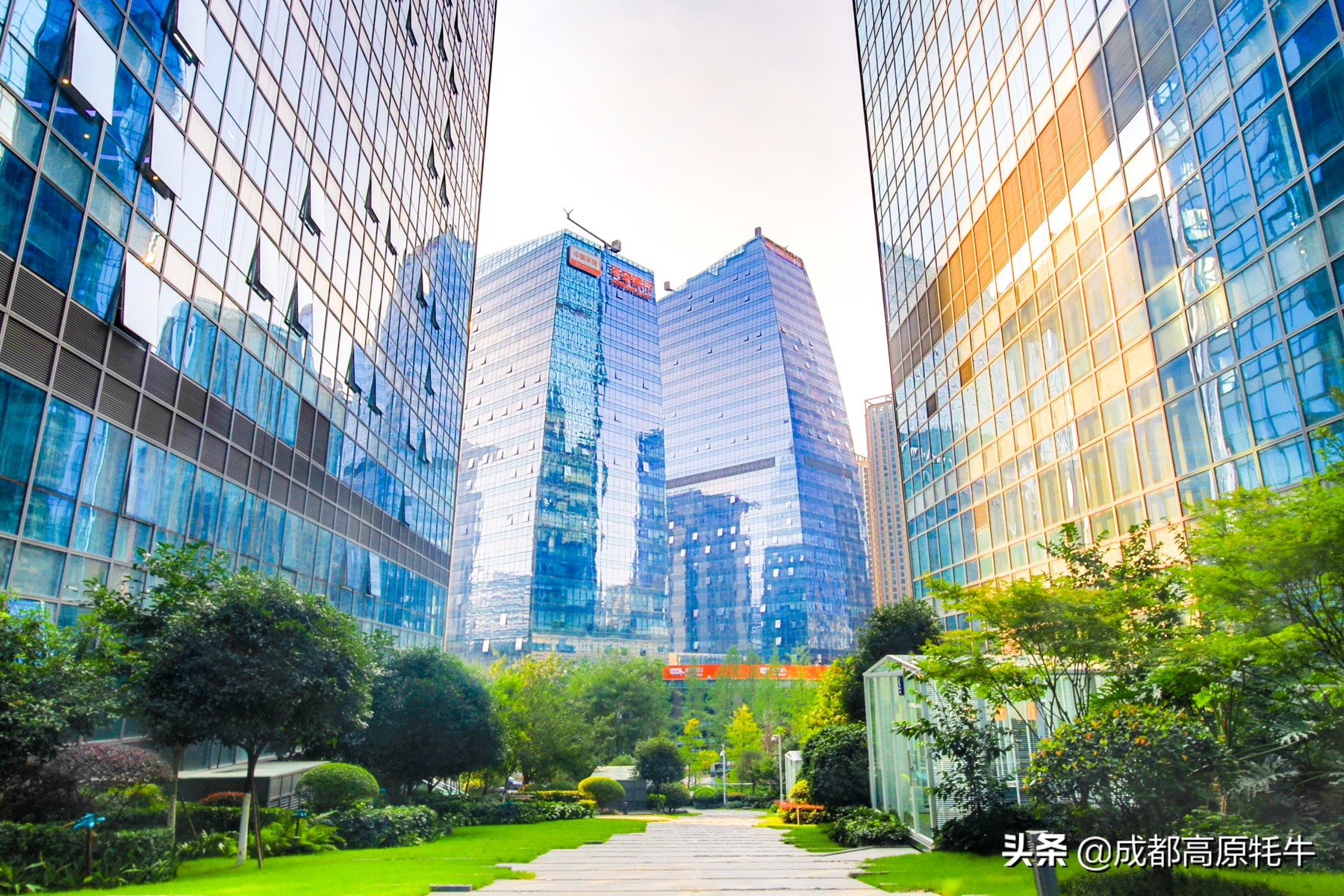 theoasistavern绿洲,theoasis清迈