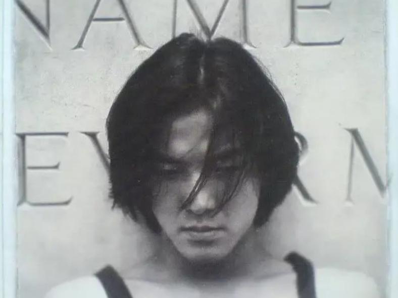 郑伊健双琪夺面影响大吗,郑伊健夺面双旗事件