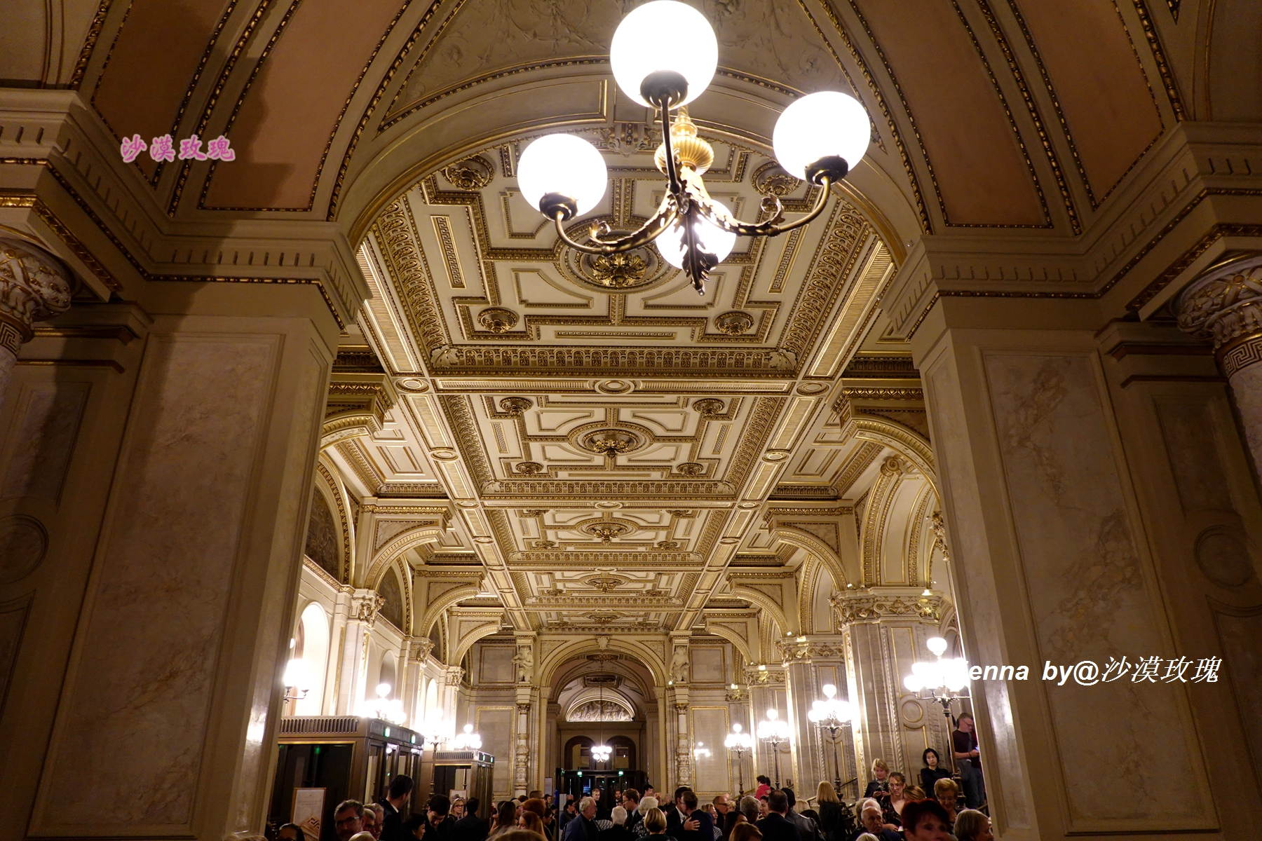 只要3欧元,就能在维也纳听一场世界级的音乐