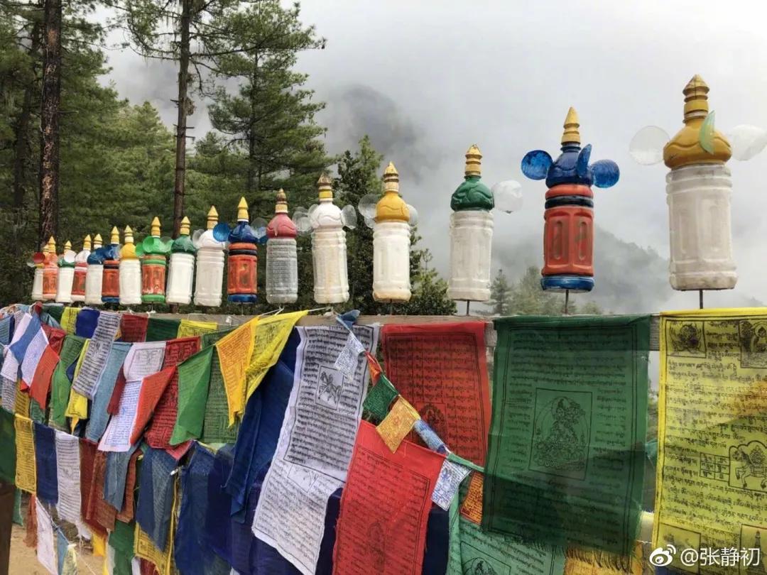 消失6年后,张静初单身生活首曝光!独居大House,与满屋破烂作伴