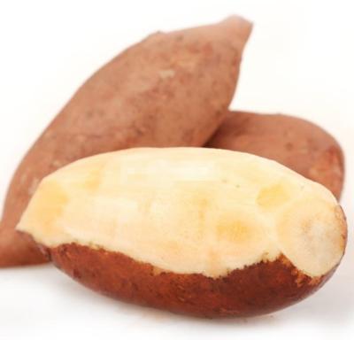 雪莲果种植方法和技术视频,山东雪莲果种植技术与日常管理