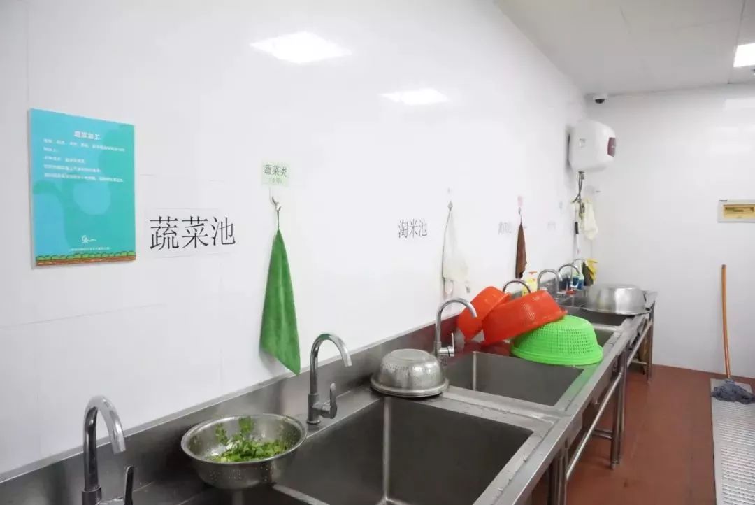 探园幼儿园教室,上海100多所托幼园