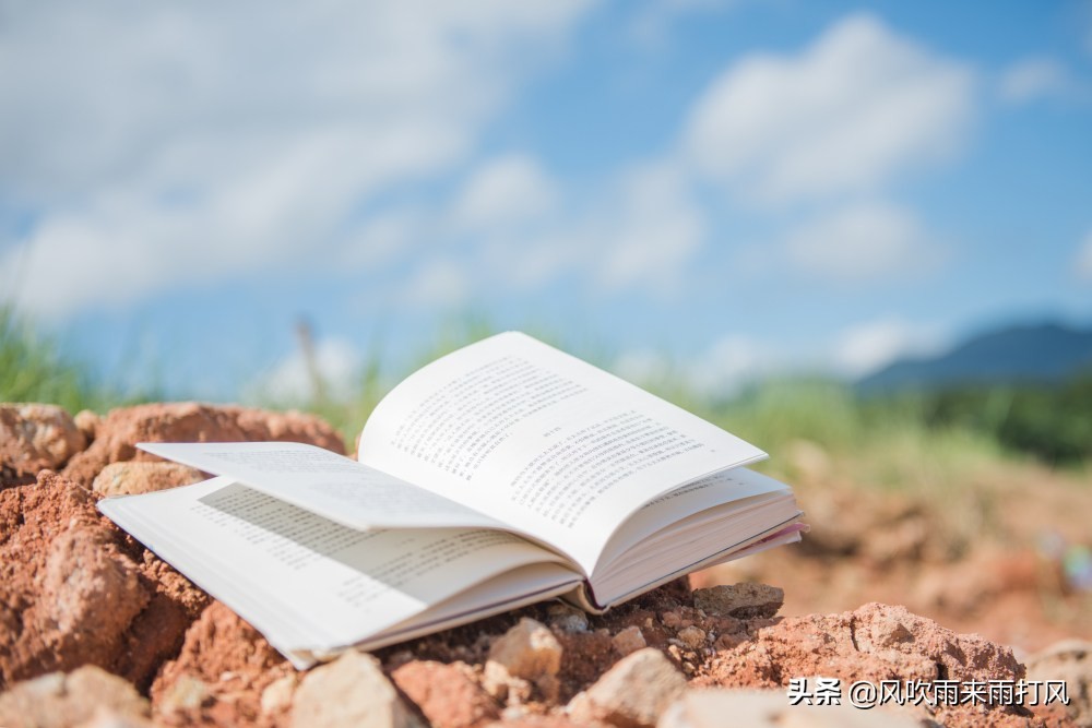 从不同的角度看企业迁移，企业迁移的利与弊