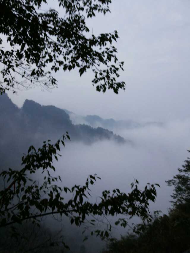 一次受伤需要一生治愈,一次受伤的自述