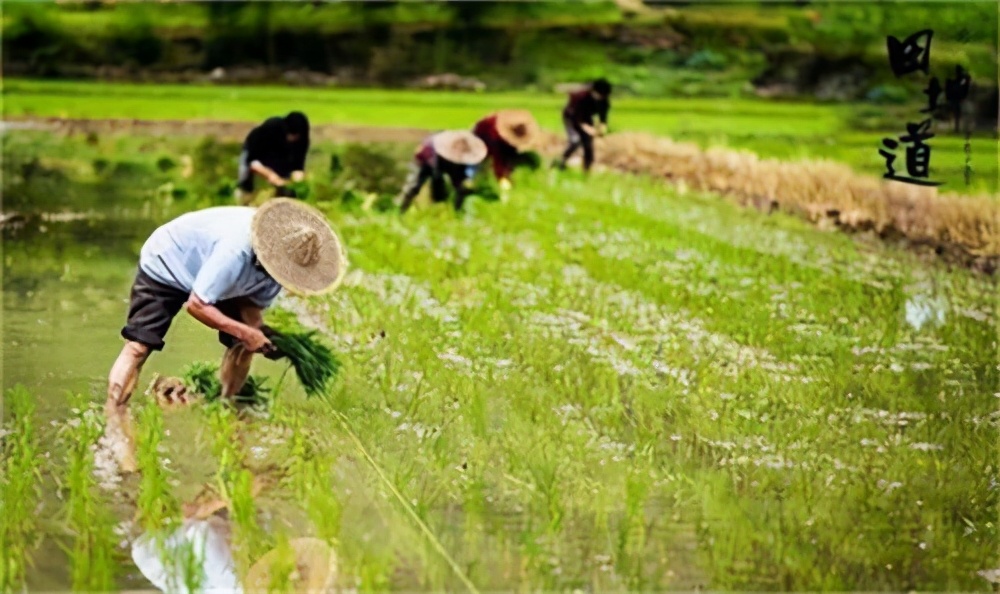 开一家粮油店进货渠道哪里找,开粮油店需要办理哪些手续
