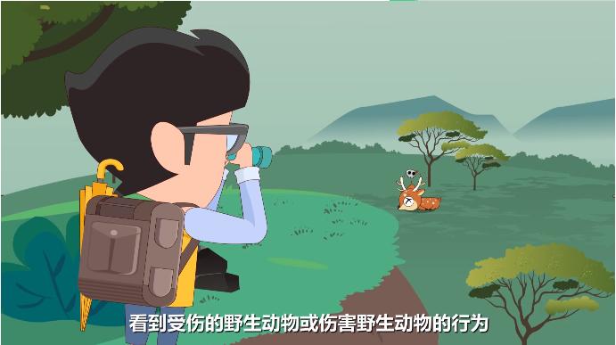 拯救野生动物和保护环境的重要性,我们该怎么保护环境保护动物