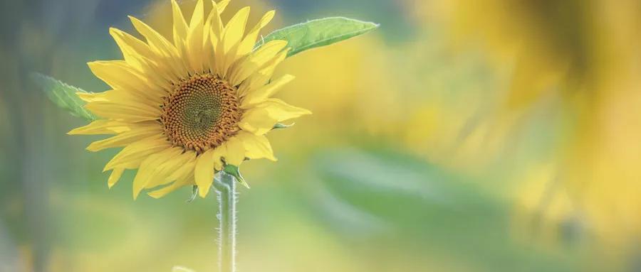 安全用药保健康内容,安全用药你必知的16个用药知识