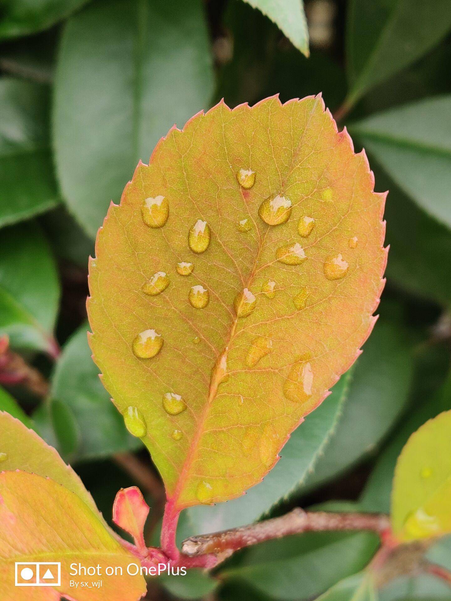 一加7pro充电多少w,一加7prowifi6