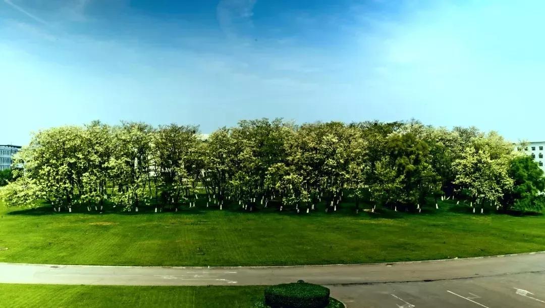 沈阳化工大学辽宁省排名,沈阳化工大学2020招生计划辽宁省