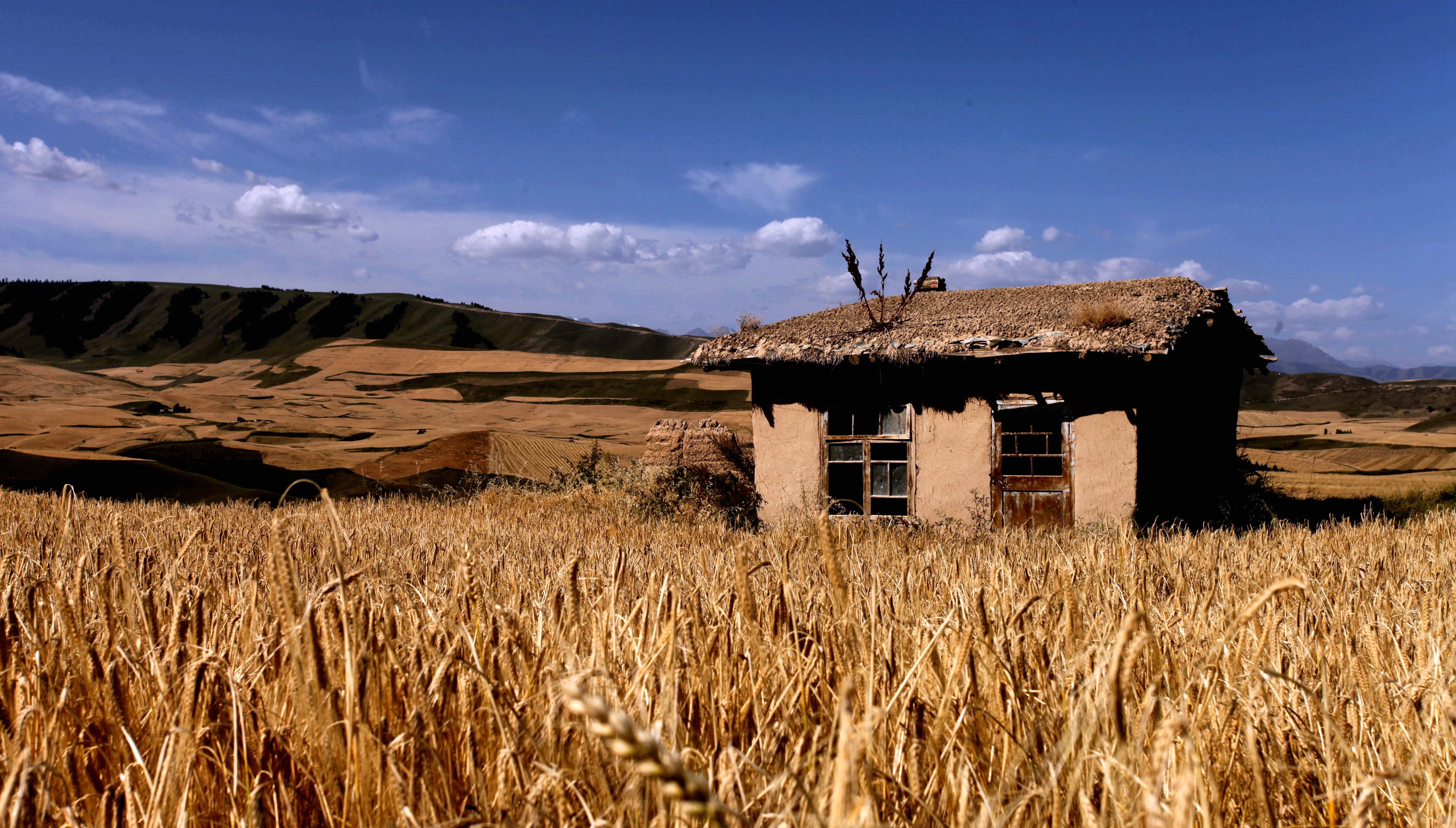 澶╁北楹︽捣,鏄熺┖涓嬬殑缁濈編绋荤敯姊甸珮