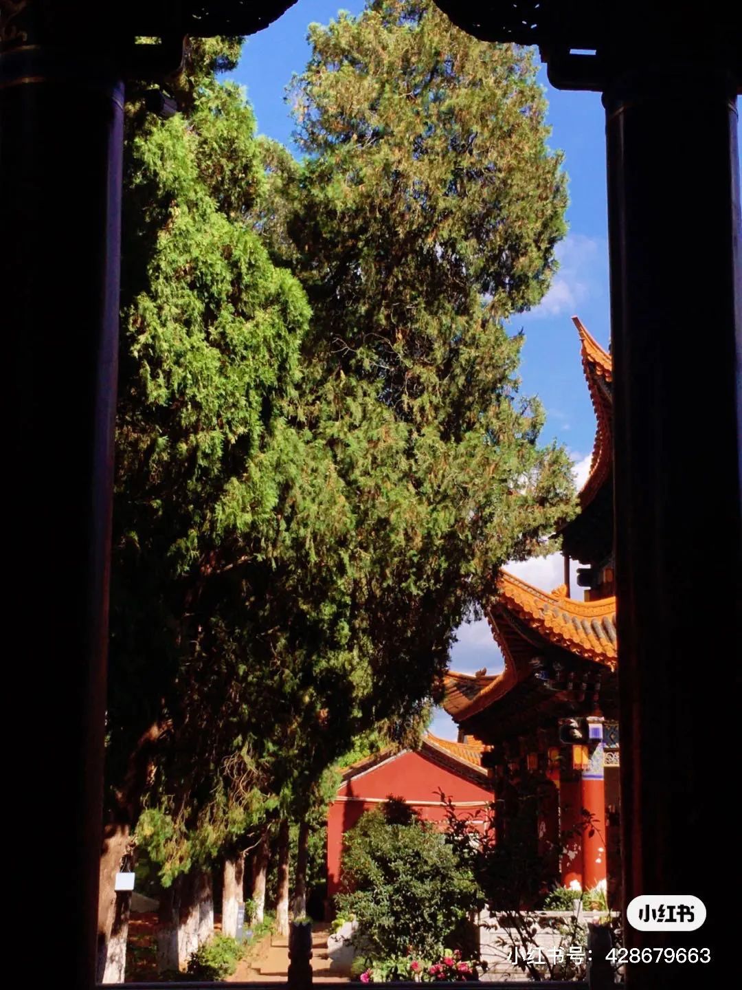 昆明避暑冷惨了外省人,昆明过冬真实感受