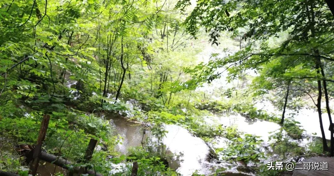 洛阳隐藏的好玩的地方,洛阳周边城市的山水景点