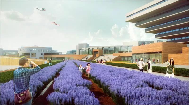 曹晓昕:单一的局域设计会死未来需要跨域的全尺度链设计