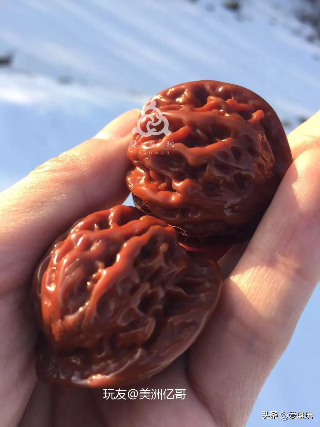 老树磨盘核桃包浆,百年老树核桃图片