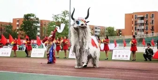 西南民大值得去读吗,西南民大是什么级别