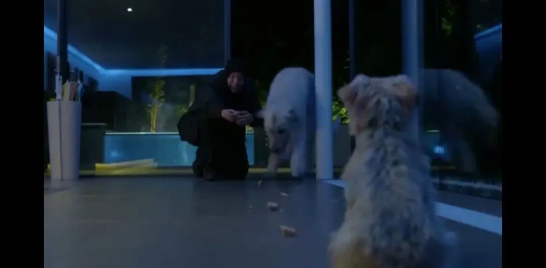 英剧9号秘事全部,英剧9号秘事讲的什么事