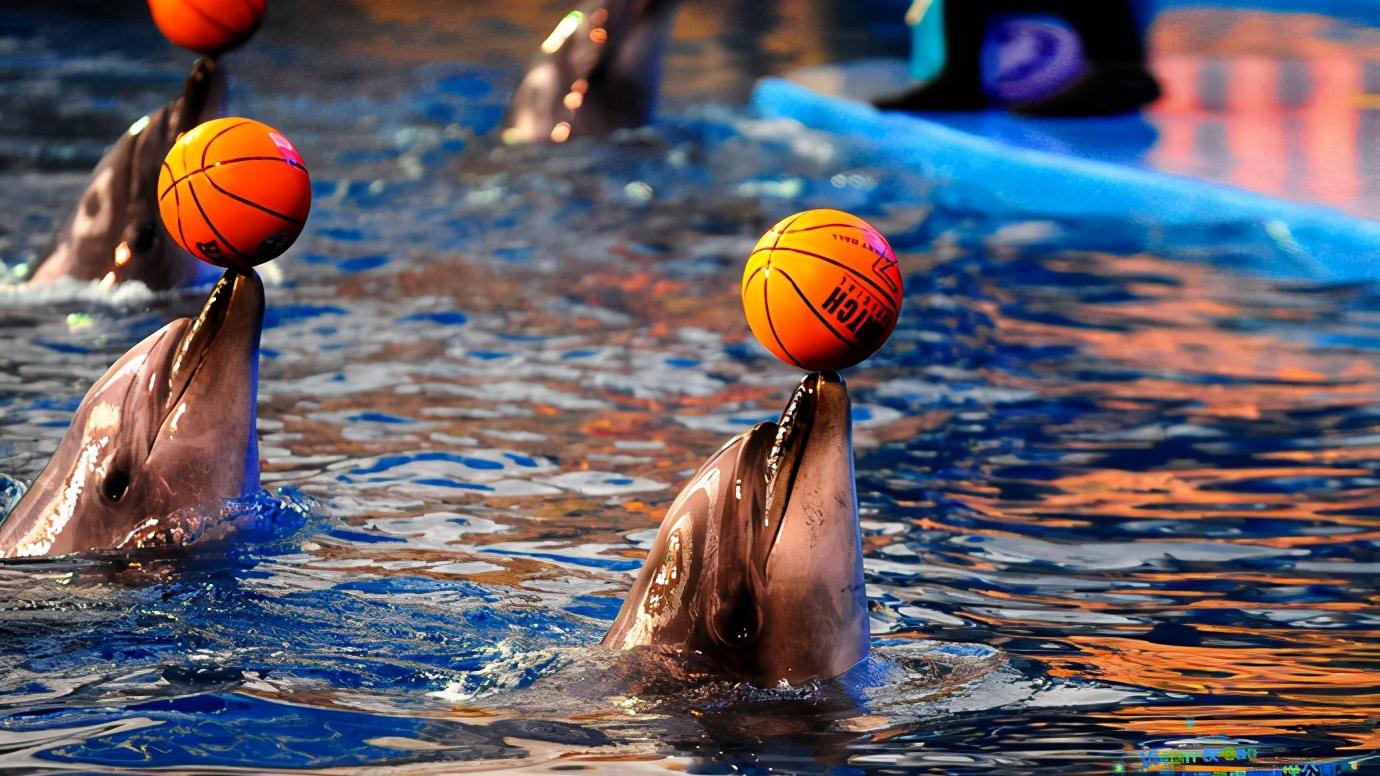 辽宁省大连市几个区,浅谈34个省市之江苏