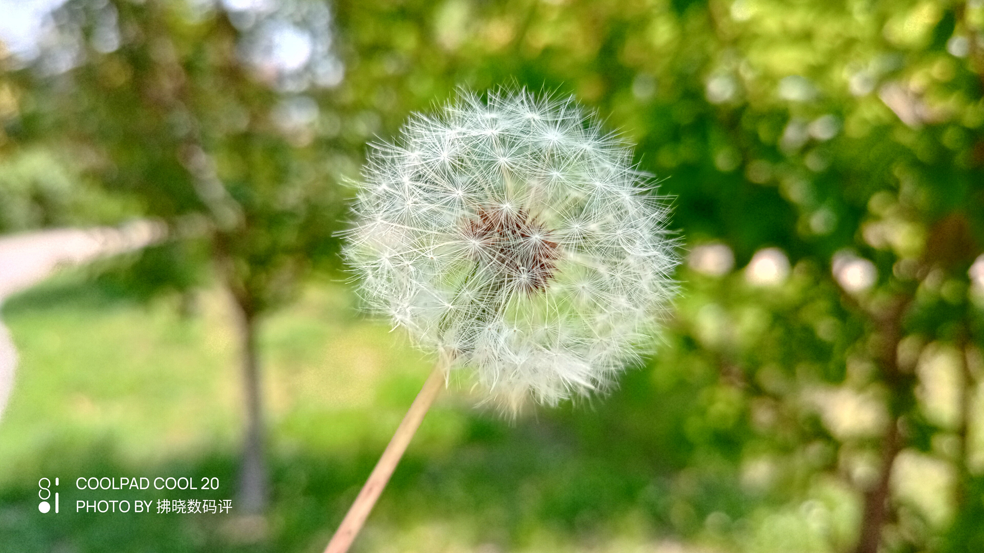 酷派cool20测评游戏,酷派cool20发布时间