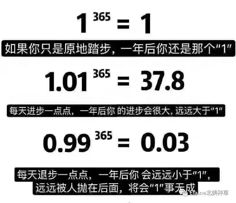 熬夜小天才,曾经熬夜的小天才现状