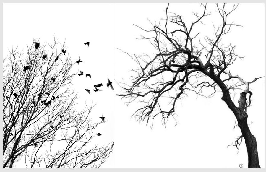 儿童画漂亮的森林,创意儿童画教程美丽的银杏树叶